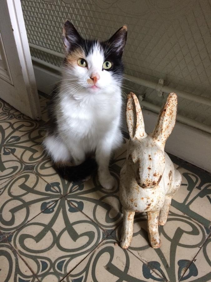 Le Clos Mademoiselle 洛什 外观 照片